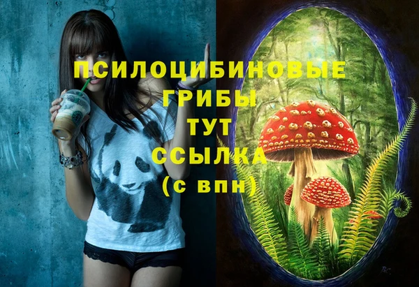 экстази Нея