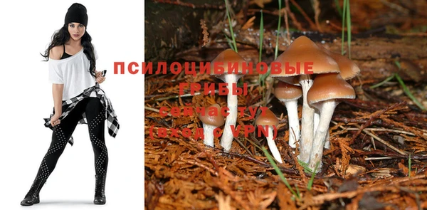 a pvp Нефтегорск
