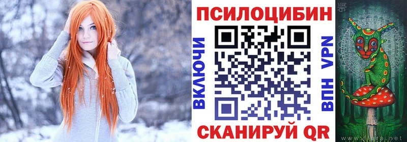 наркотики  Камешково  Галлюциногенные грибы GOLDEN TEACHER 